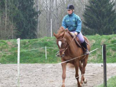 Monitrice d'equitation propose cours et stages