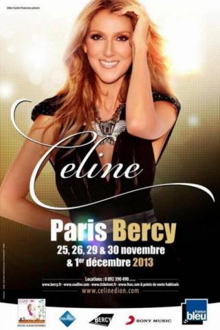 2 places Carré OR Céline Dion - PARIS BERCY 25/11/2013