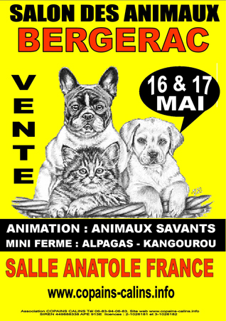 Salon animalier  bergerac 16 et 17 mai CHIOTS ET CHATONS