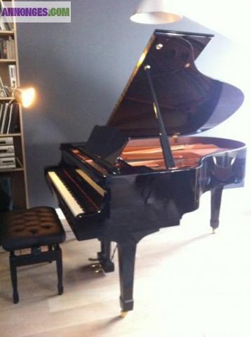 Magnifique Piano a Queue Yamaha C3