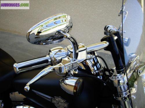 Harley Davidson FAT BOB FXDF 1584
