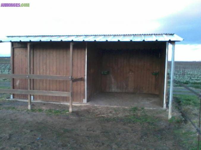 Pension paddock chevaux