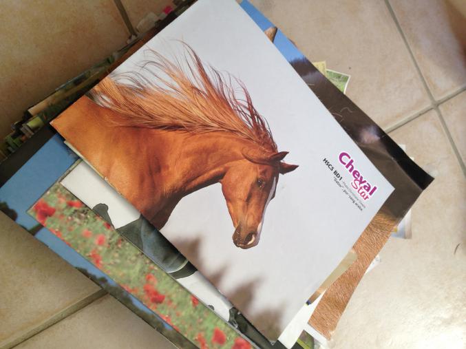 Posters chevaux