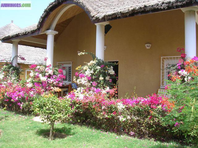 Location maison au Senegal
