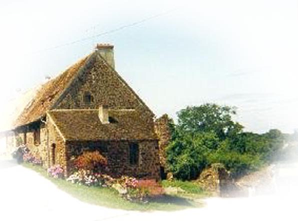 Maison pierre du XII avec tour et terrain