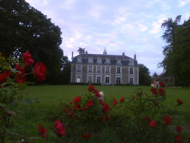 Chouzy-sur-Cisse - Château de Chanteloire