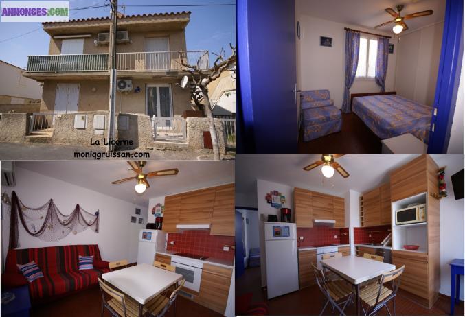 A  louer : 3 APPARTEMENTS CLIMATISE 2/6 Pers  à GRUISSAN PLAGE