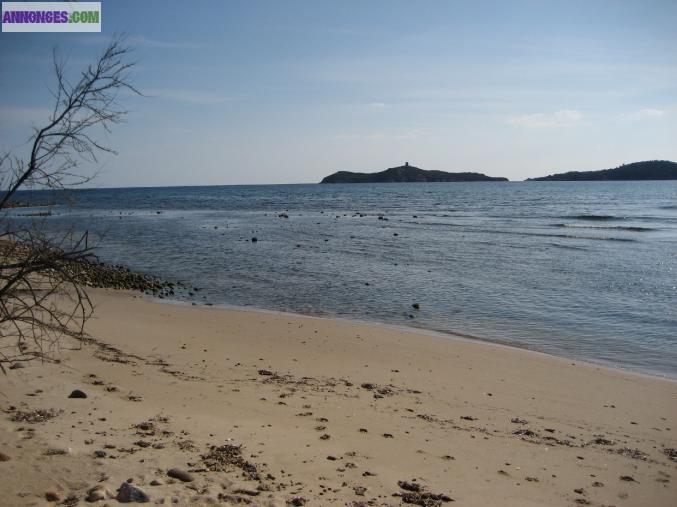 BAMBOU accès direct mer et plage sable.