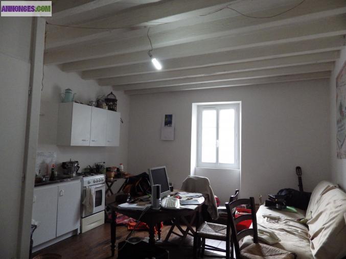 Appartement grand t2