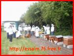 Formation en apiculture - Miniature