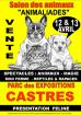 Salon chiot animalier castres 11/12 avril - Miniature