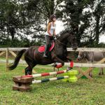 Cours d'équitation tous niveaux et nombreuses disciplines - Miniature