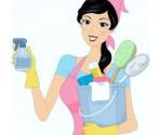 Femme de ménage  - Miniature