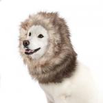 Peluca para perros color marrón león 40 cm - Miniature