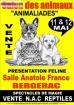 Salont du chiot et du chaton bergrac 11 et 12 mai - Miniature