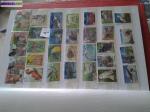 Timbres theme : les animaux n* 1 - Miniature
