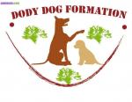Formation educateur canin/comportementaliste - Miniature