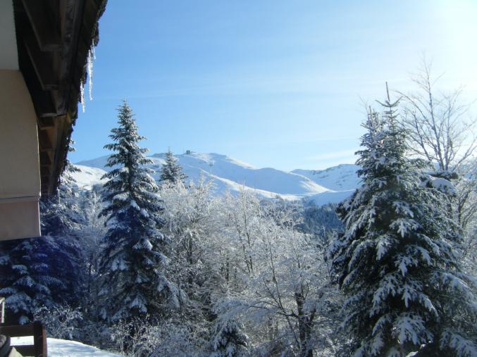 Grand appartement 80m des pistes