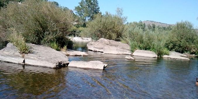 Cherche caravane occasion