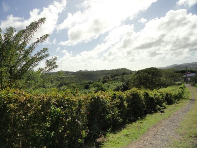 Coffret cadeau pour un ami demandeur d'emploi
