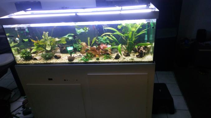 Aquarium 450l complet ou detail