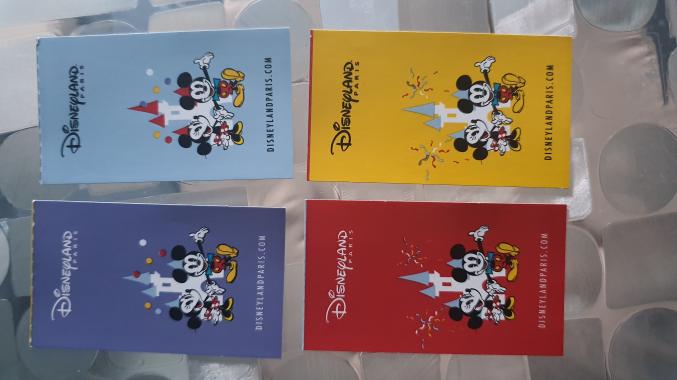 Billet Disneyland 