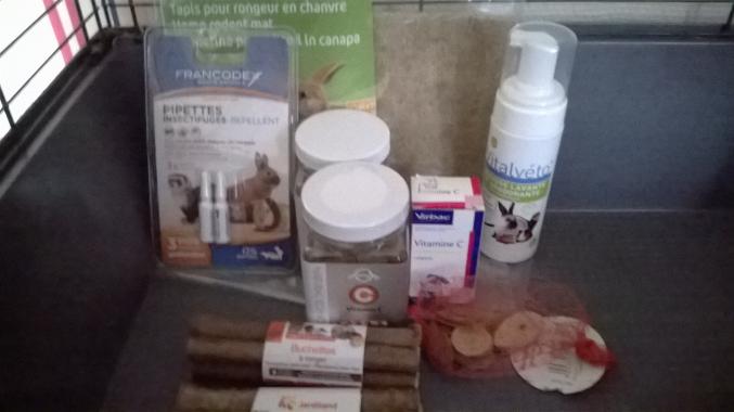 Cage et accessoires cochon d'inde