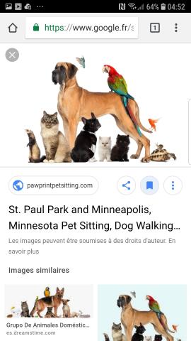 Garde d'animaux - Pet-sitting