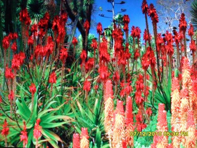 CAUSE SANTE F4  A  SAISIR