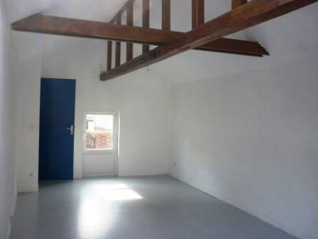 Joli T2 très lumineux dans quartier calme