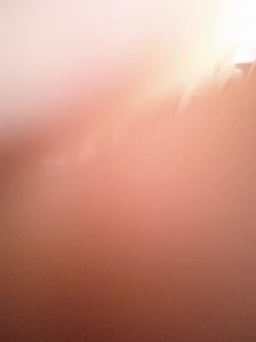 Chambre à louer dans le maris