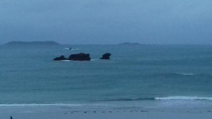 Cherche colocation lannion alentour