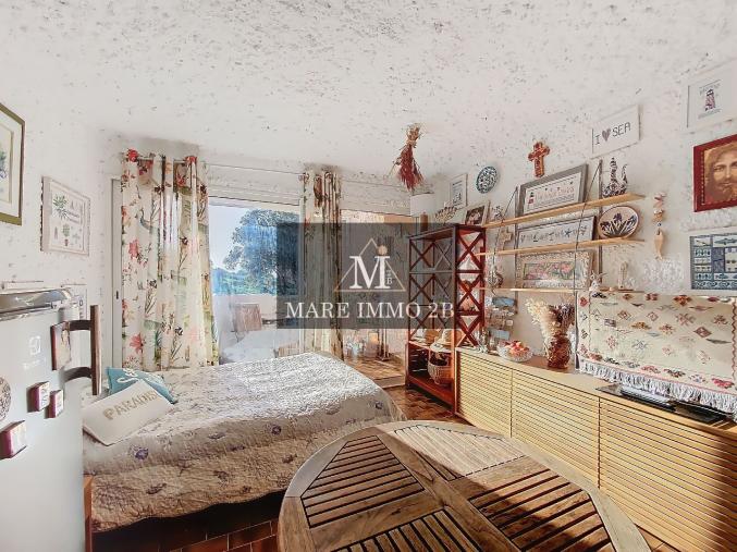 Beau Studio avec terrasse et vue Dégagée