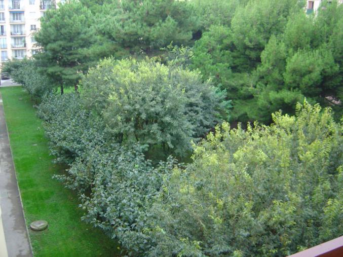 F4 Proximité Palais de congrés 