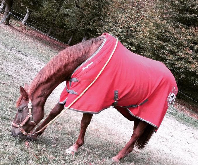 Nagano, Maitre d'école, cherche une autre DP
