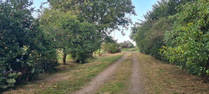 VENTE BRETAGNE FINISTERE