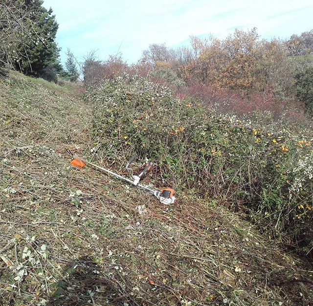 Espace vert , jardinier