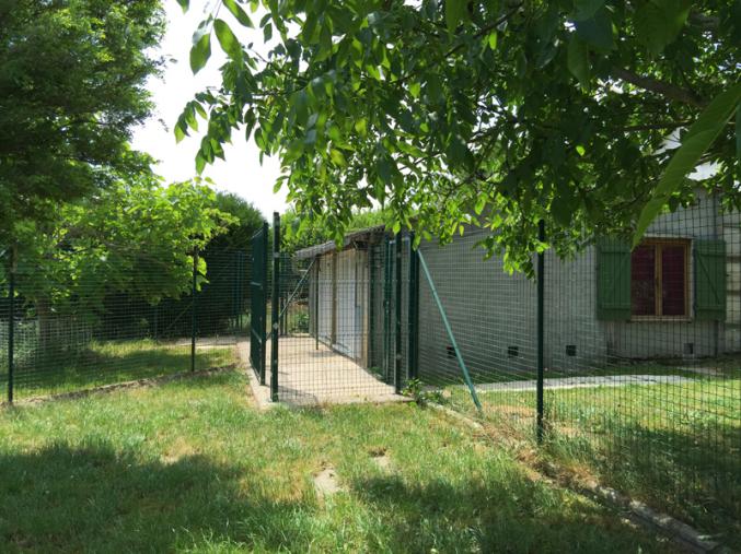 Pension canine et féline, éducation, toilettage, boutique à vendre