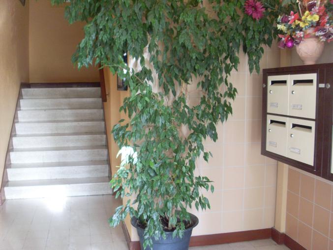 Appartement 5 pièces