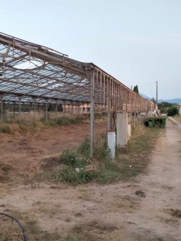 Démontage serre agricole