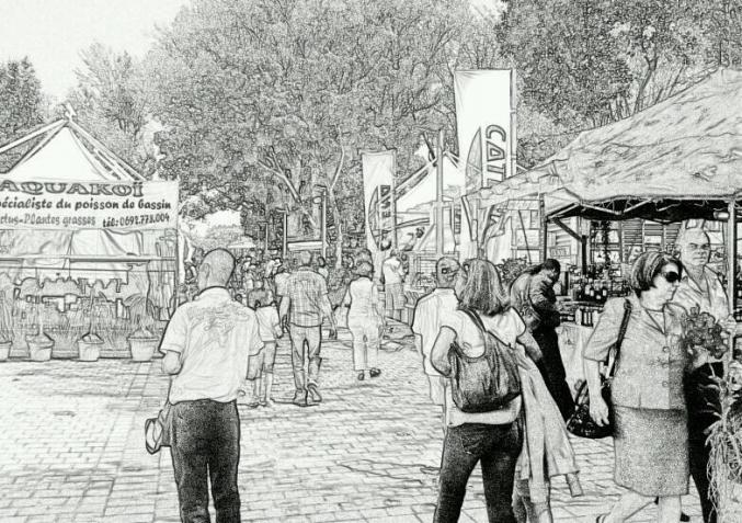 Chambre pour colocataire