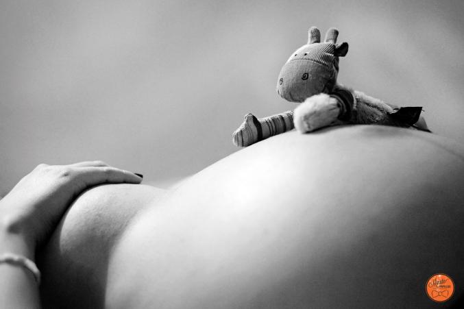 PHOTOGRAPHE ARTISTIQUE BOOK GROSSESSE ET NAISSANCE