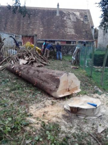 Élagueur-paysagiste