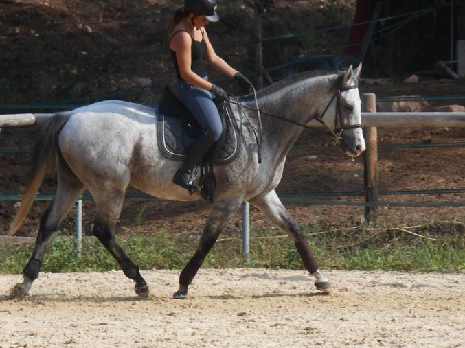 Propose 1/3 ou 1/2 pension sur PSA de 8 ans