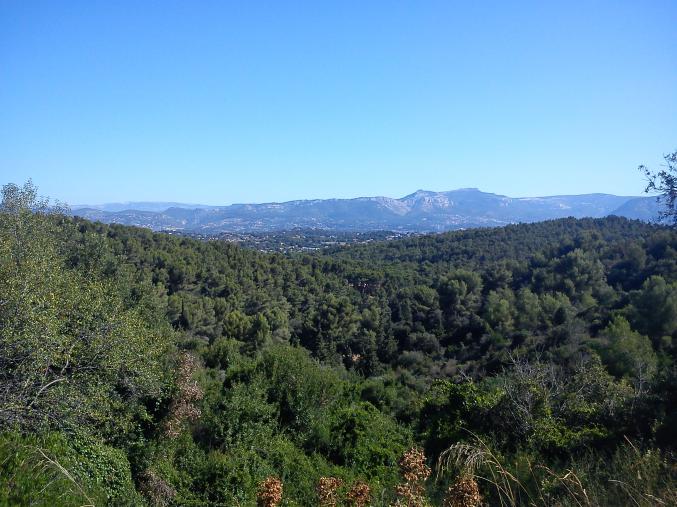 Offre stage en hôtellerie