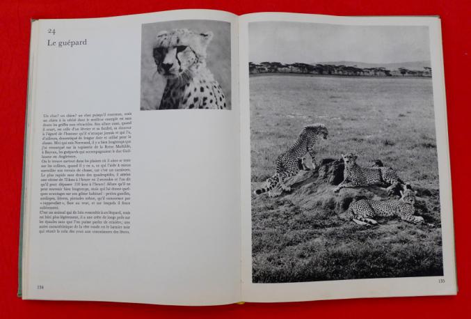 Animaux d'Afrique – 3ème Edition 1974 – Reliure Toilée