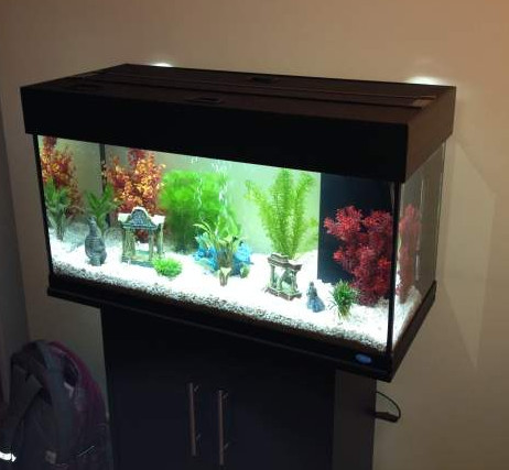 Aquarium 122L + Meuble + Accessoires + Poissons