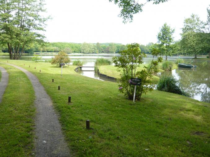 Superbe étang de pêche