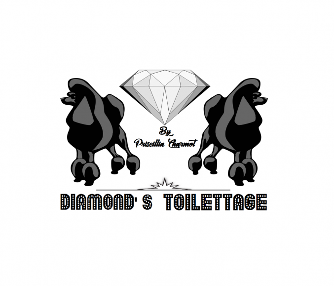 Toilettage Thonon les bains