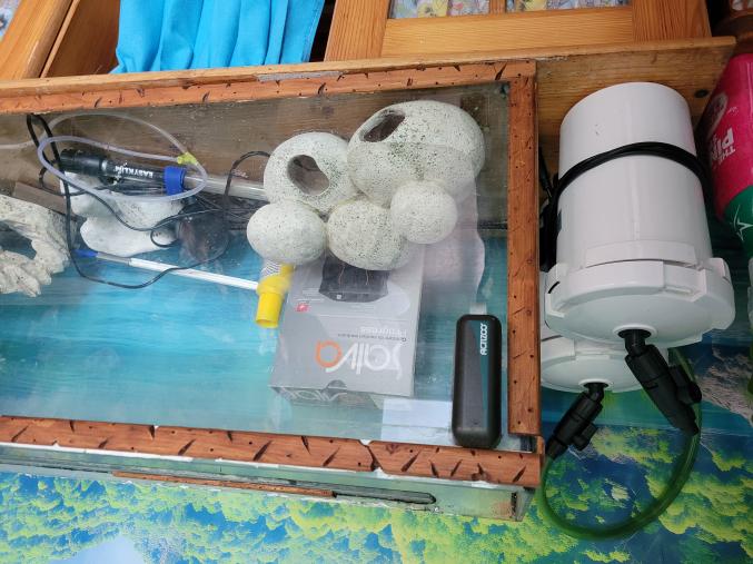 Aquarium eau douce